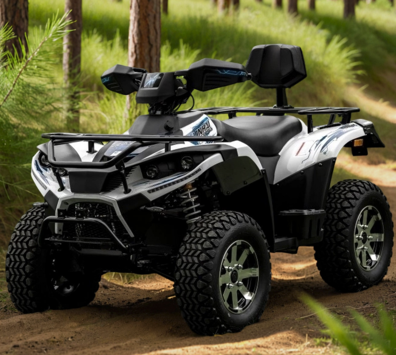 Электроквадроцикл GreenCamel Linhai A-LH40DA (3900W 50 км/ч) Электроквадроцикл GreenCamel Linhai A-LH40DA (3900W 50 км/ч)